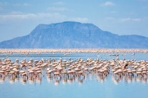 Lake Natron