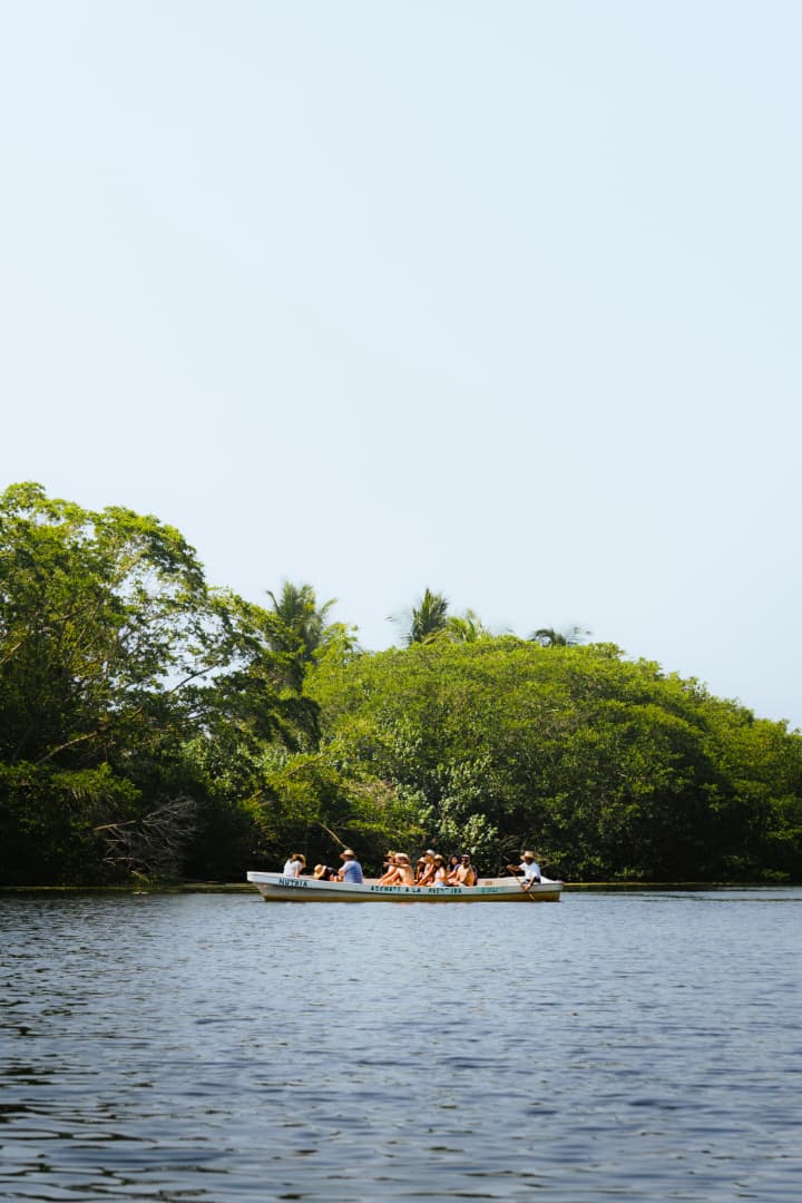 A small boat gliding past green forest on a still lake