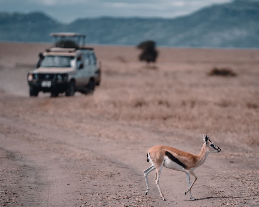 What to Actually Pack for a Tanzania Safari