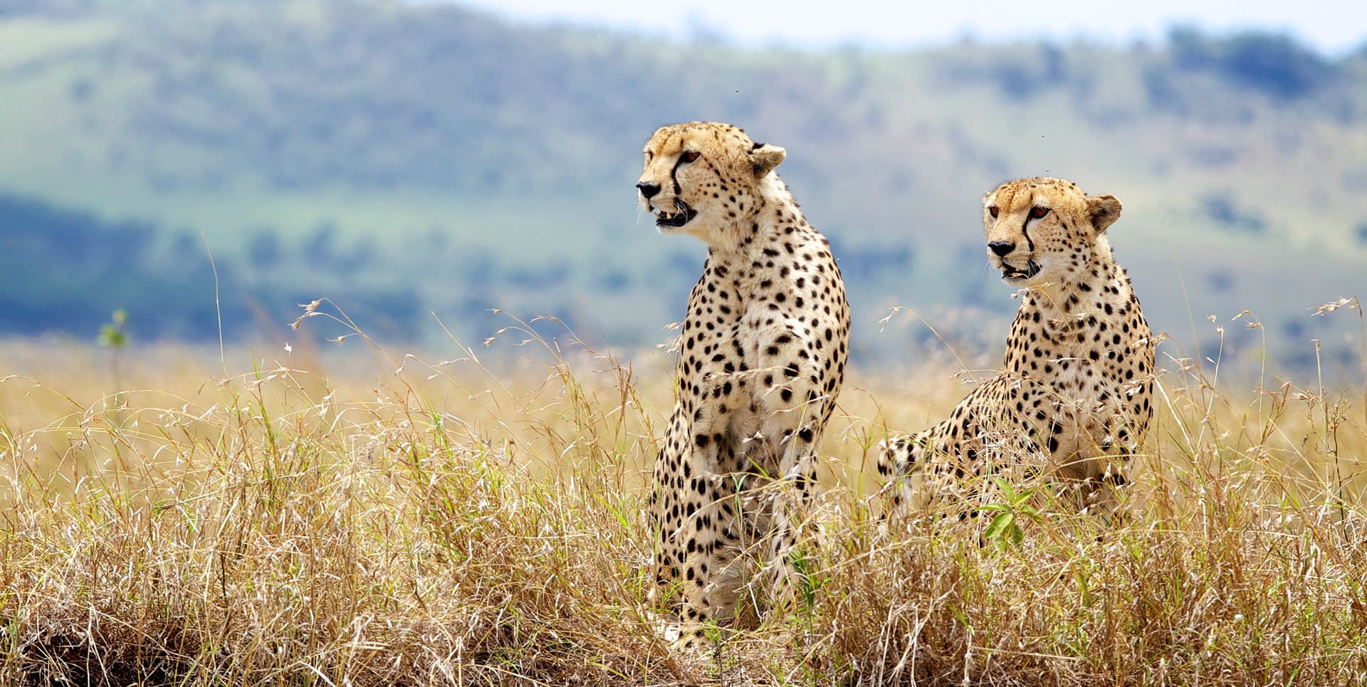Ngorongoro Crater rim