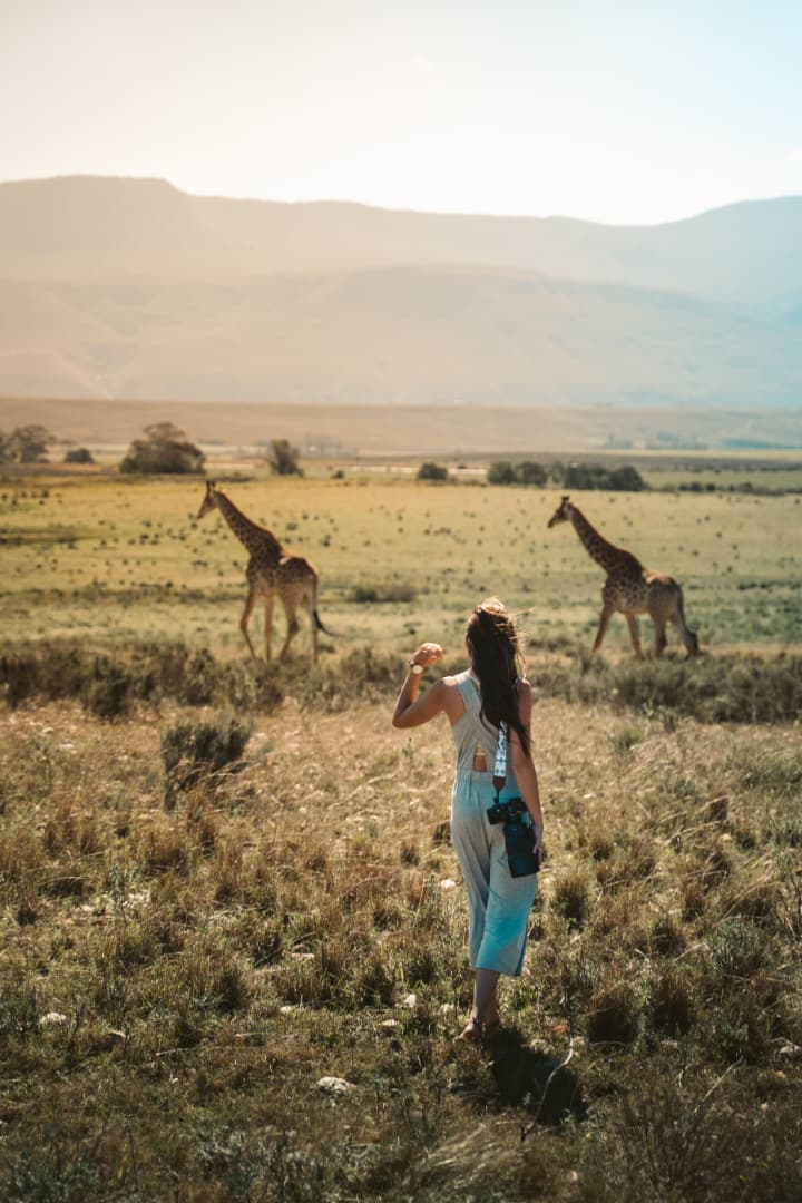 5-Day Luxury Honeymoon Safari: Tanzania's Northern Circuit