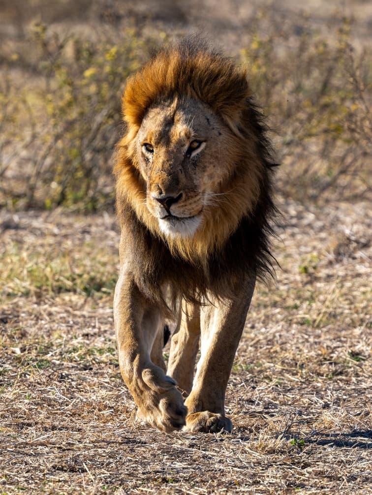 6 Days - Tarangire, Serengeti and Ngorongoro Crater