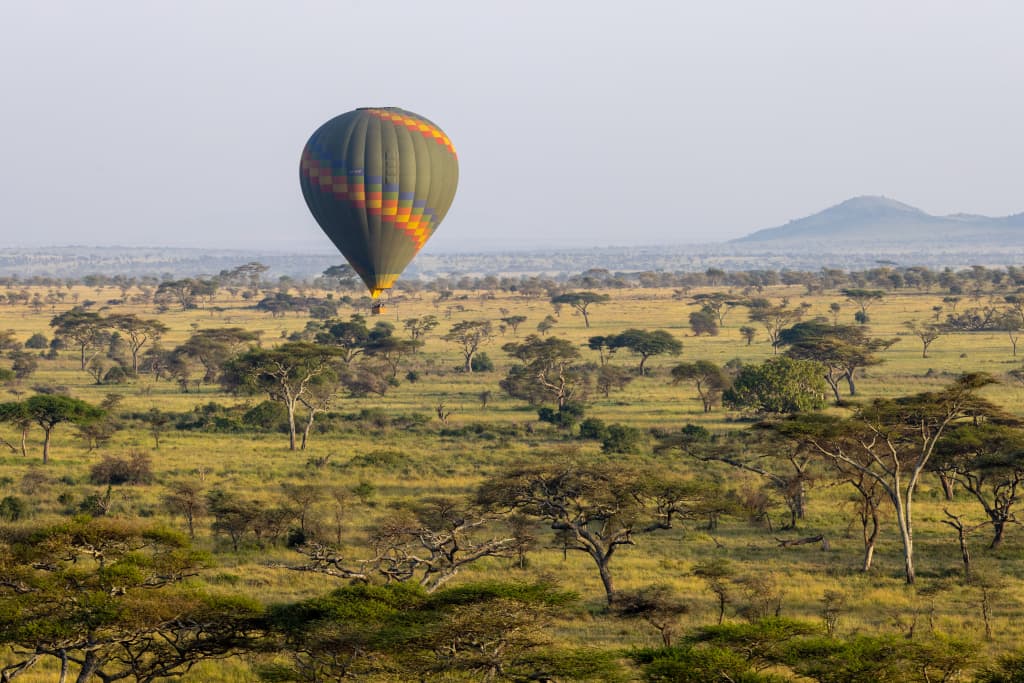 7-Day Luxury Tanzania Safari with Serengeti Balloon Safari