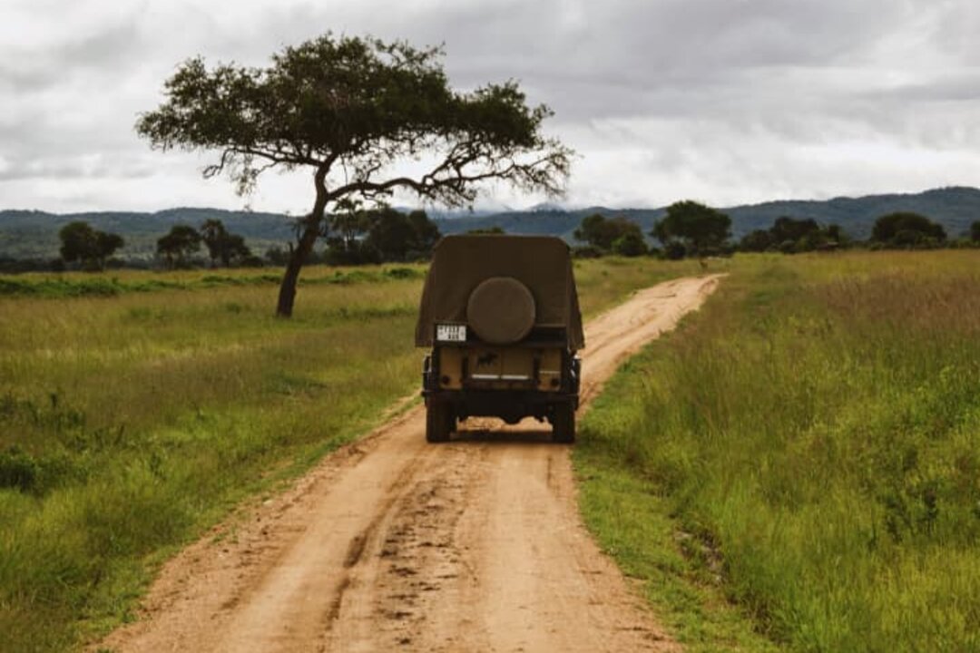 7-Day Southern Tanzania Safari: Nyerere, Mikumi & Udzungwa