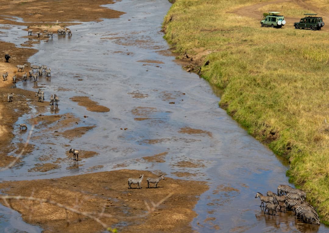 8-Day Tanzania Safari Express: Arusha National Park, Lake Manyara, Serengeti, Ngorongoro & Tarangire